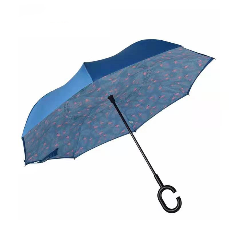 Inverted Umbrella